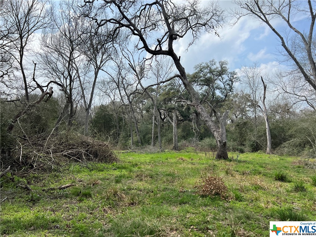 A perfect tract of land only 10 minutes from Hallettsville.