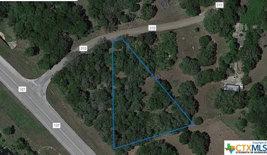Country lot waiting for your imagination to take over. Mostly treed with some nice mature hardwoods. Plenty of space to build and spread out. Away from town but close enough to be convenient. Not in FEMA flood plain. Buyer to verify all information.