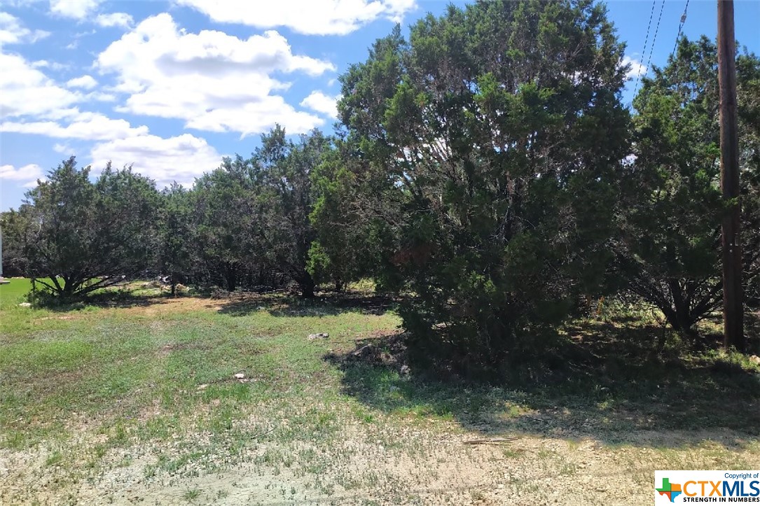 ENJOY THE BEAUTIFUL TEXAS HILL COUNTRY FROM THIS LEVEL LOT WITH MATURE TREES LOCATED IN THE CYPRESS COVE SUBDIVISION* ONLY 600 SF MINIMUM RESIDENCE REQUIRED* SUBDIVISION SWIMMING POOL (ADDTL POA FEE) FOR YOUR ENJOYMENT* MINUTES TO BOTH CANYON LAKE AND THE GUADALUPE RIVER.