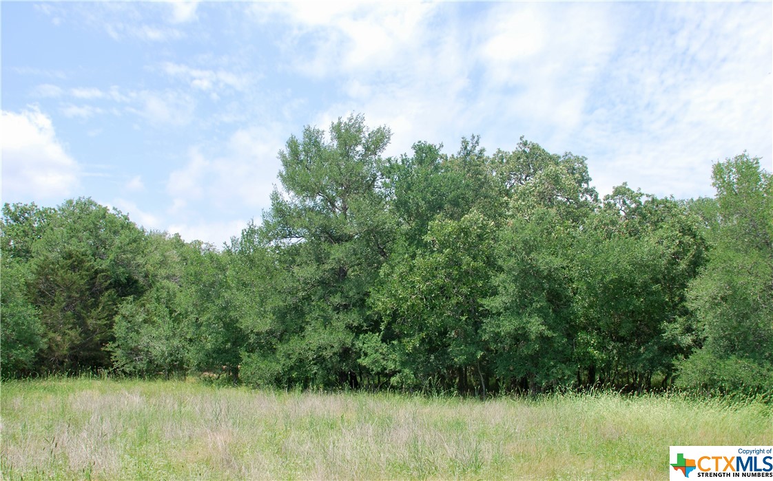 11.15 acres with multiple building sites, dotted with Post Oaks and Live Oaks. There is a beautiful spot of oaks with an ideal location for building a new pond! A new entrance and newly cut trails for exploring the property. Small acreage tracts are few and far between in this area. The county road is well maintained. Located in a great school district, Moulton ISD, this property is centrally located between Houston, Austin, and San Antonio. 10 miles south of I-10, for easy access to and from the Interstate. Light restrictions in place to protect your investment. Electricity nearby. Additional acreage available, ask listing agent for details.