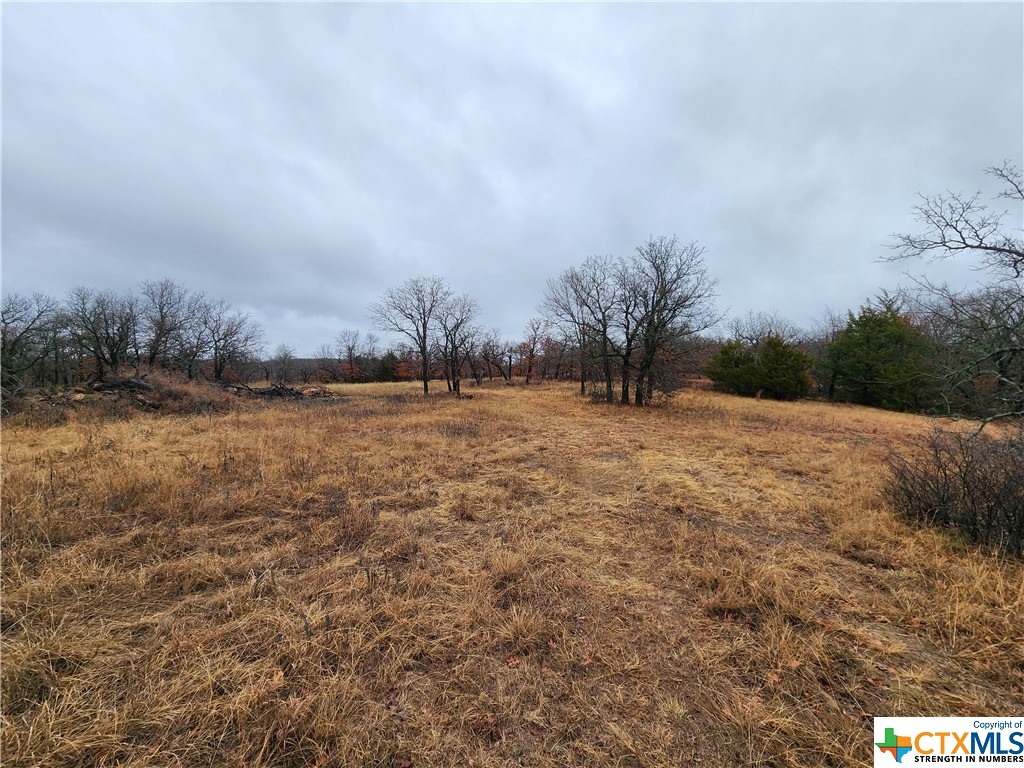 10 acres is big enough to apply for livestock exemption and save money on taxes.  This 10 acres can be up to 20 and is not far from town and directly across from the County's Texas Theatre.  Possibilities are certainly there to develop this property for residential or commercial.