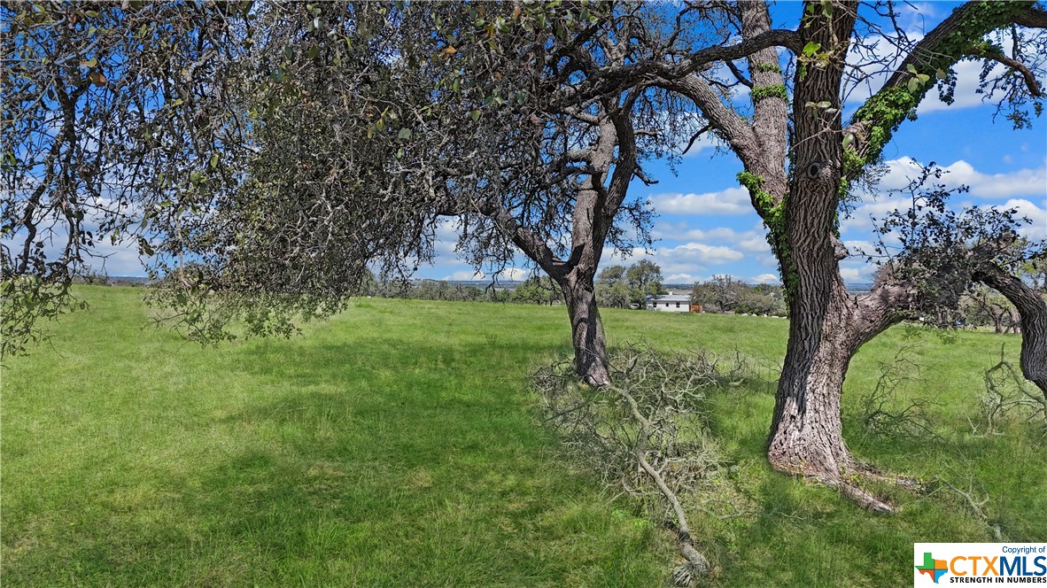 A FANTASTIC CORNER LOT OFFERING IN THE COVETED VINEYARD RIDGE SUBDIVISION! There are numerous perfect level building sites for your dream home - a truly useable property. Incredible oak trees sprinkled throughout! This property is in the HIGHLY sought after Texas Wine area. Stonewall, Fredericksburg and Hwy 290 are less than 30 minutes away; however, you feel as though you are on your own Texas Ranch! This gorgeous gated subdivision has underground utilities, and water to each lot! There is an agricultural exemption in place for the subdivision, so the property taxes are EXTREMELY low! There are very reasonable restrictions in place to protect your investment. This is a property you will want to call home!