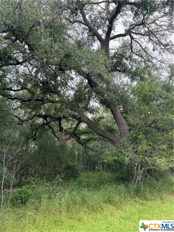 19 lots total!  These are located in Sutherland Springs old town- home of the former Springs Resort!   These lots should have SS Water availability.  Call for details. Must sell all in one -  Old bank building is close by across the corner- adds charm to this area!