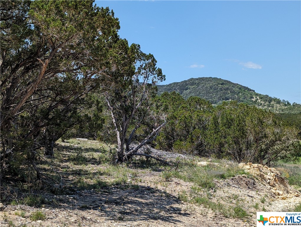 BREATH TAKING HILL COUNTRY VIEWS ON THIS 8 ACRES!!! Nestled into one of the most Picturesque Settings! If you are looking for 8 Acres in the Texas Hill Country with a GREAT BUILDING SITE, Beautiful Views and Privacy this is it! Nice gentle taper that allows your pick of several good building sites and have the views! Large Ranch properties are on both sides of this 8 acres. Just the right distance from town to have quiet and privacy but perfect for shopping!