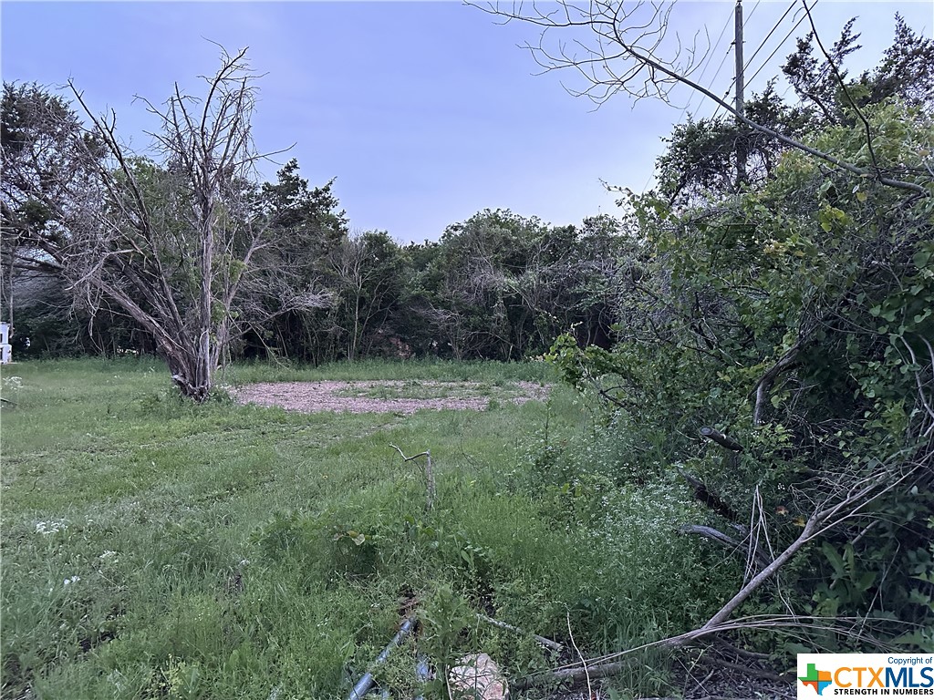 Just over a quarter acre with minimal restrictions - bring that manufactured home and raise those chickens! Water available at the street, septic required. Adjacent lot also available for a total of 0.52 acres!