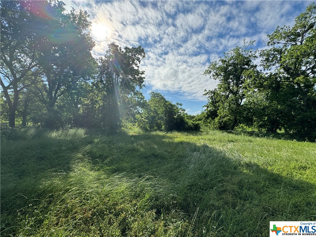 Discover the perfect canvas for your dream home! Sitting on almost an acre of land, this vacant lot boasts lush greenery in the thriving community of Milam County. With nearby utilities readily available, building your oasis is a breeze. Sitting on 0.879 of an acre in the quickly growing city of Cameron, this land is in the heart of town and could have development potential.