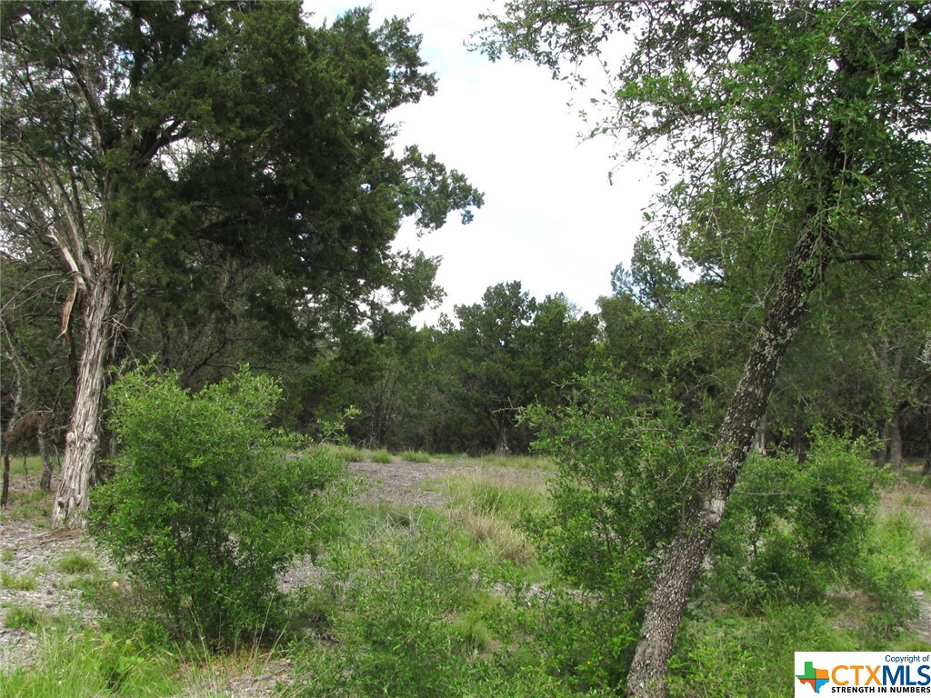 10.83 acres east of Evant, TX also known as Lot 9 Phase 5 in Rio Escondido Subdivision. The property has good tree cover, with rolling terrain and great views to build a home. The property is in a gated Subdivision with Hamilton County Electric located along the road at the property. The property has Fiber Optic Internet Service available from Central Texas Telecommunication in Goldthwaite, TX. You will need to drill a water well for water and the property is located in the Evant ISD