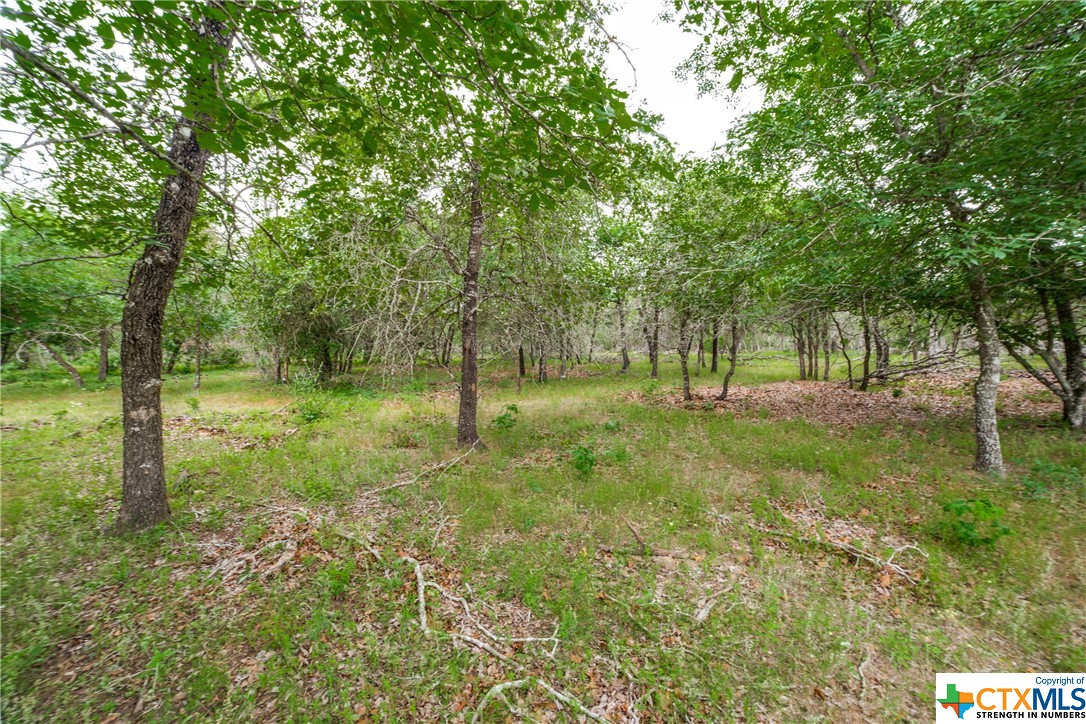 Beautiful heavily wooded property located South of Seguin and just East of La Vernia in the Stockdale ISD.  This property could make a nice homesite!  The property is currently taxed under an agricultural tax valuation and is covered with Post Oak, Blackjack Oak and other native trees.