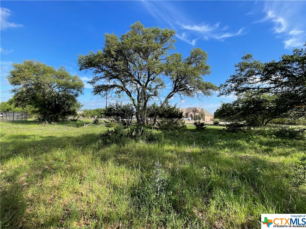 Nestled within the serene ambiance of Rockin J Ranch, this cul-de-sac lot offers an unparalleled opportunity to embrace the tranquility of nature amidst the mature Live Oak trees that grace the landscape. With a prime location, this parcel presents a level building site, providing the perfect canvas for creating your dream home. Perched on a gentle elevation, the property has vistas overlooking the lush fairways and greens of the esteemed Vaaler Creek Golf Course, particularly showcasing the picturesque scenery of the number 13 green. Whether enjoying the vibrant hues of the sunrise or the tranquil glow of the sunset, this elevated position offers a front-row seat to nature's beauty year-round. The Rockin J Ranch community provides a harmonious blend of countryside living and modern amenities, offering residents access to recreational facilities, including swimming pools, hiking trails, and equestrian activities. Additionally, the nearby town of Blanco provides conveniences such as shopping, dining, ensuring both relaxation and convenience for homeowners. Experience the epitome of Hill Country living.