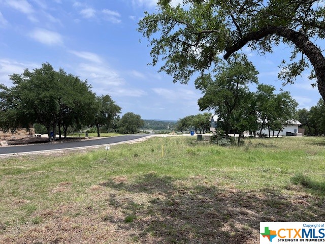 Potential lakeview lot located in the Las Brisas gated community, southside of Canyon Lake.  Fairly flat lot to build on. Survey available! Amenities include lake access, neighborhood pool with incredible lake views, preserve, hiking trails and access to Tom Creek.
