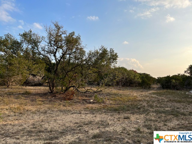 This lot is your blank canvas with extraordinary hill country views! You can build your dream home with mature trees surrounding it. Water has been tapped with a meter. Electricity is available at the street.