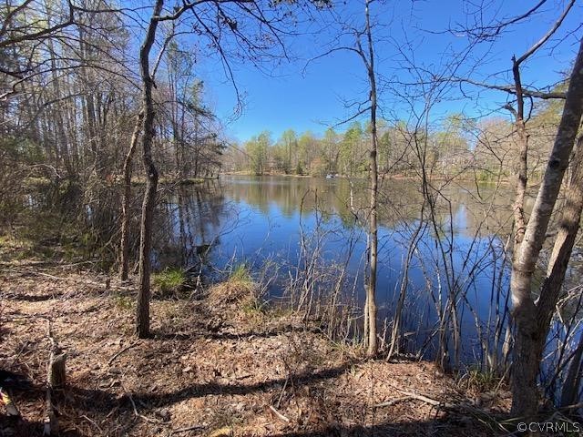 8418 Cypress Pond Ln, Chesterfield, Virginia 23838, ,Land,For sale,8418 Cypress Pond Ln,2216298 MLS # 2216298