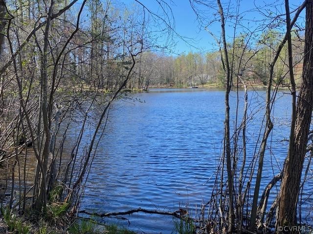 8418 Cypress Pond Ln, Chesterfield, Virginia 23838, ,Land,For sale,8418 Cypress Pond Ln,2216298 MLS # 2216298