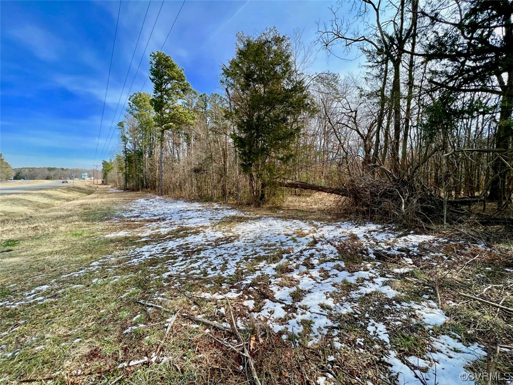 0 E Patrick Henry Hwy, Crewe, Virginia 23930, ,Land,For sale,0 E Patrick Henry Hwy,2304998 MLS # 2304998