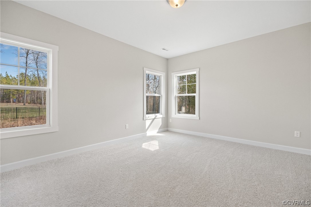 Spare room featuring a wealth of natural light and light colored carpet