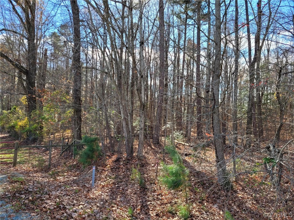 0 Pouncey Tract Rd, Rockville, Virginia 23146, ,Land,For sale,0 Pouncey Tract Rd,2400038 MLS # 2400038
