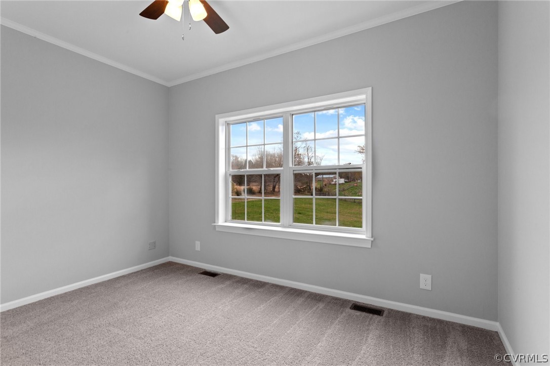 Unfurnished room featuring crown molding, ceiling fan, and carpet