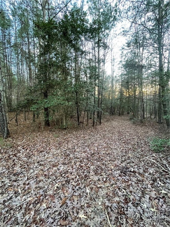 TBD / Lot 4 Evergreen Rd, Providence Forge, Virginia 23140, ,Land,For sale,TBD / Lot 4 Evergreen Rd,2402522 MLS # 2402522