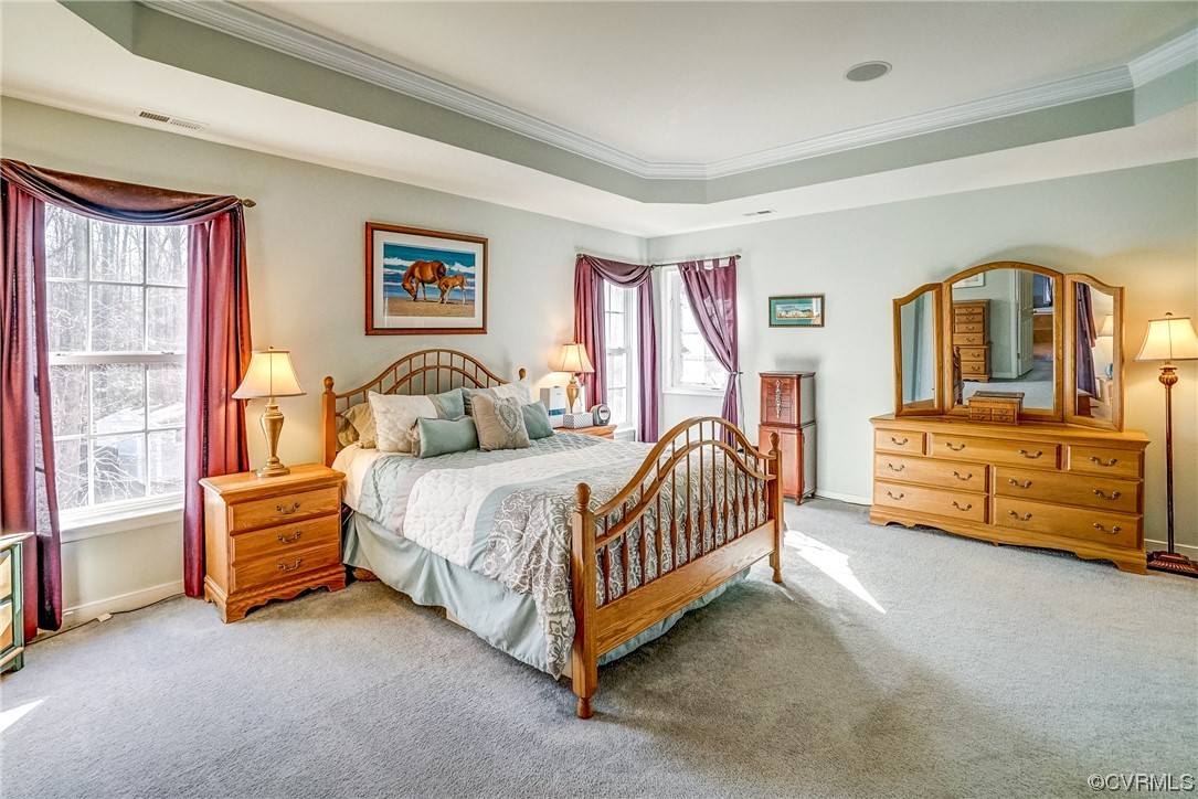 Carpeted bedroom with crown molding, a raised ceiling, and multiple windows