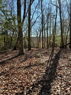 Quiet Nature Lovers Dream, Great Hunting, Multiple Building Sites
