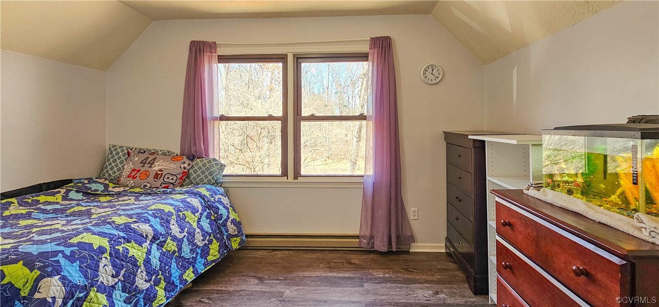 Bedroom featuring vaulted ceiling, dark wood-type flooring, and a baseboard heating unit