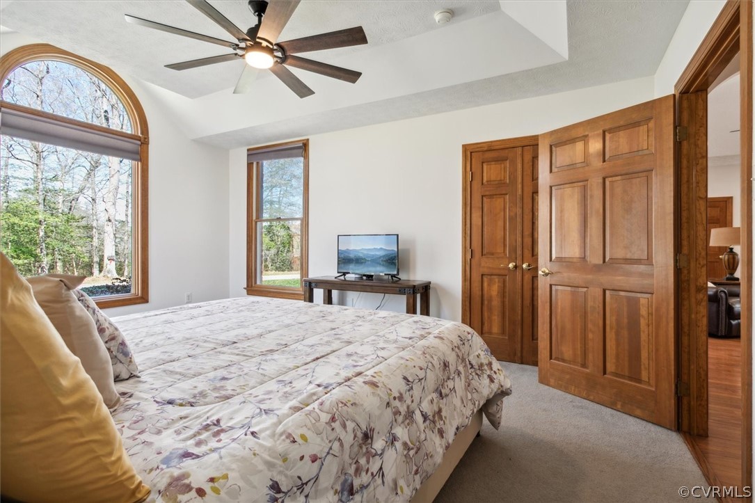 12 x 17 - 2nd Bedroom - Level 1 - Direct Access to Hall Bath, Walk In Closet and An Additional Closet, Tray Ceiling, New Lighting, Abundant Natural Light - Overlooks the Pasture/Barn