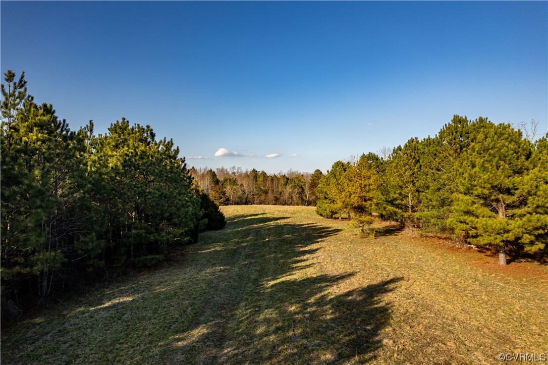 501 Racefield Dr, Toano, Virginia 23168, ,Land,For sale,501 Racefield Dr,2404152 MLS # 2404152