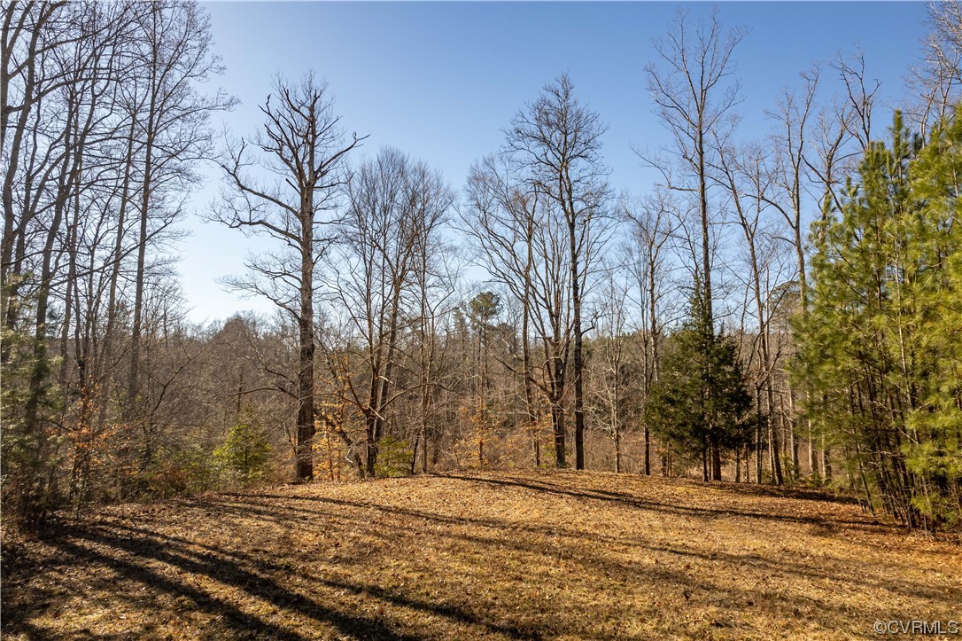 View of one of the many gorgeous possible homesites present on the property, this one is overlooking the creek and marsh.