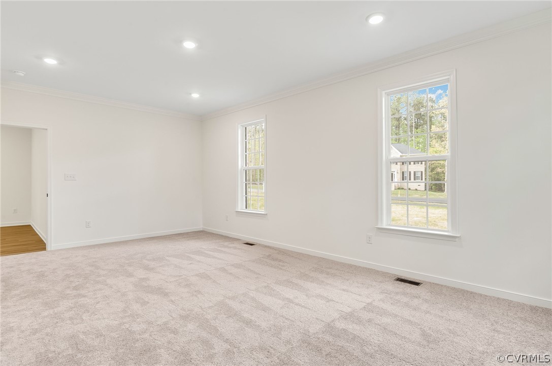 Carpeted empty room featuring a healthy amount of sunlight and crown molding