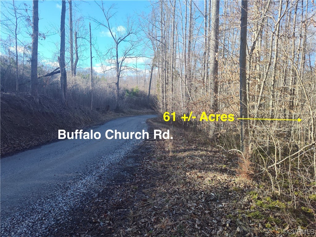 0 Buffalo Church Rd, Pamplin, Virginia 23958, ,Land,For sale,0 Buffalo Church Rd,2405254 MLS # 2405254