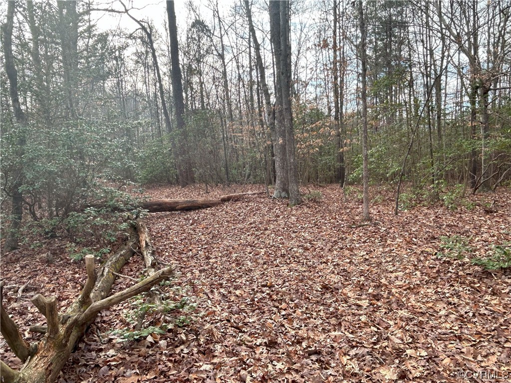 TBD Catpoint Manor Ln, New Kent, Virginia 23089, ,Land,For sale,TBD Catpoint Manor Ln,2405354 MLS # 2405354