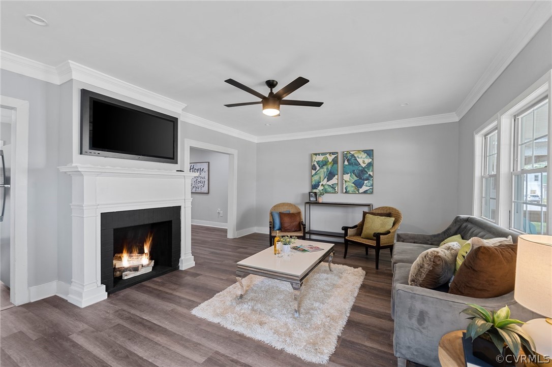 Living room with ceiling fan, dark wood-type flooring, and crown molding