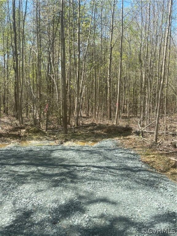 00 Mallory Road, Louisa, Virginia 23093, ,Land,For sale,00 Mallory Road,2409218 MLS # 2409218