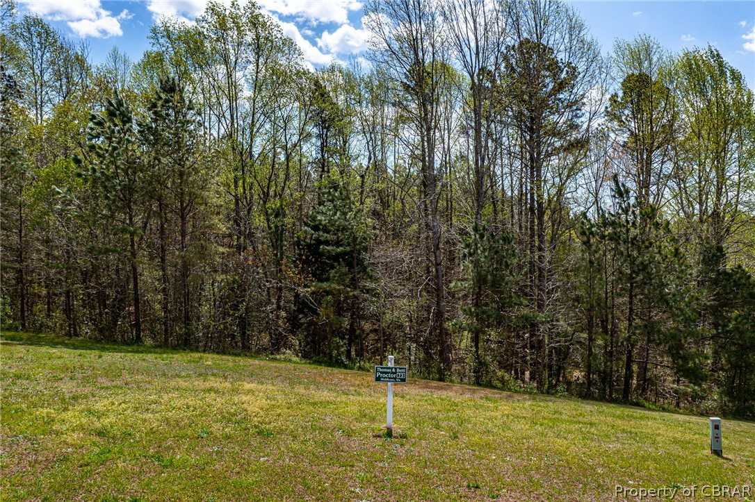 Lot 73 Lakeview Dr, Heathsville, Virginia 22473, ,Land,For sale,Lot 73 Lakeview Dr,2409469 MLS # 2409469
