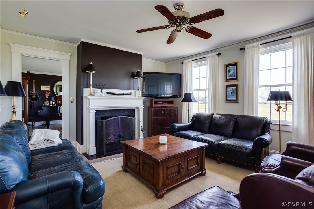 Living room featuring plenty of natural light, crown molding, and ceiling fan