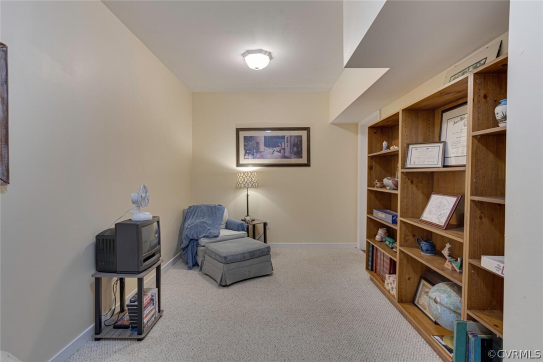 Private office space in the basement with closet, carpet, and shelving.