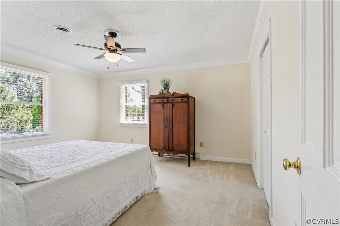 Carpeted bedroom with ceiling fan, crown molding, and a textured ceiling