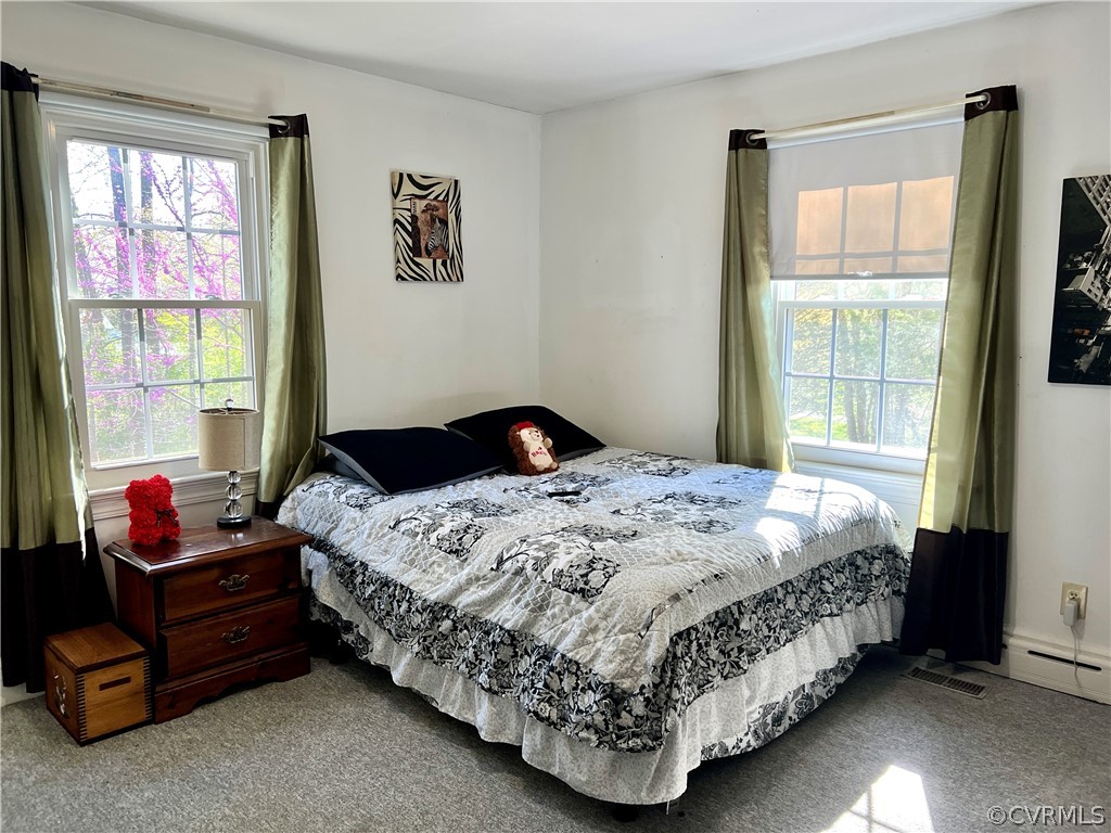 Carpeted bedroom with baseboard heating and multiple windows