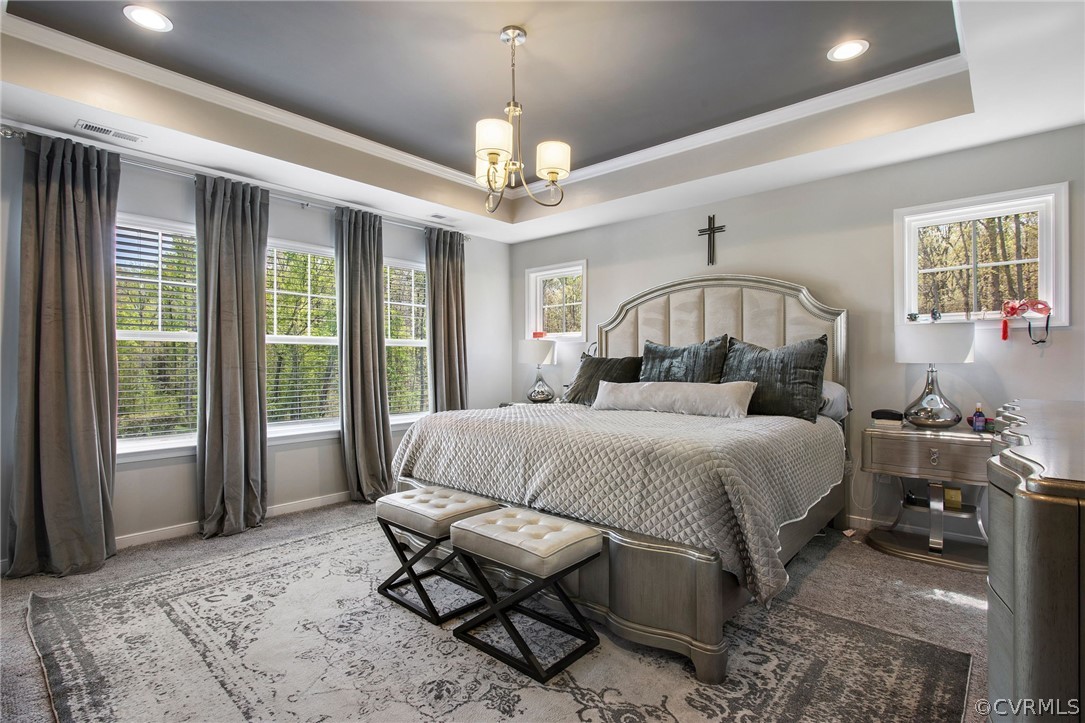 Bedroom with multiple windows, light carpet, and a tray ceiling