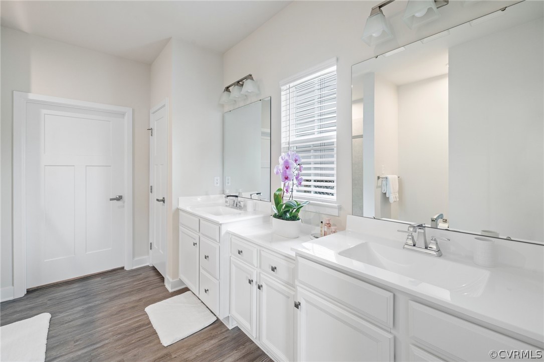 Bathroom with plenty of natural light, hardwood / wood-style floors, and double vanity