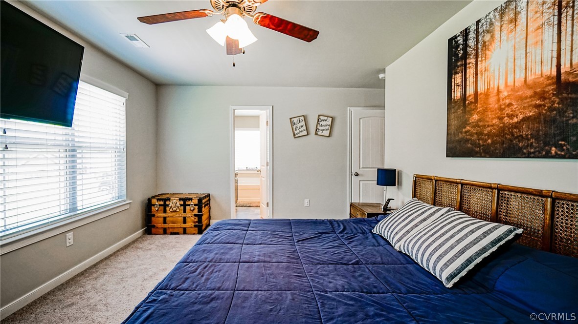 Bedroom featuring carpet flooring, ceiling fan, ensuite bathroom, and multiple windows