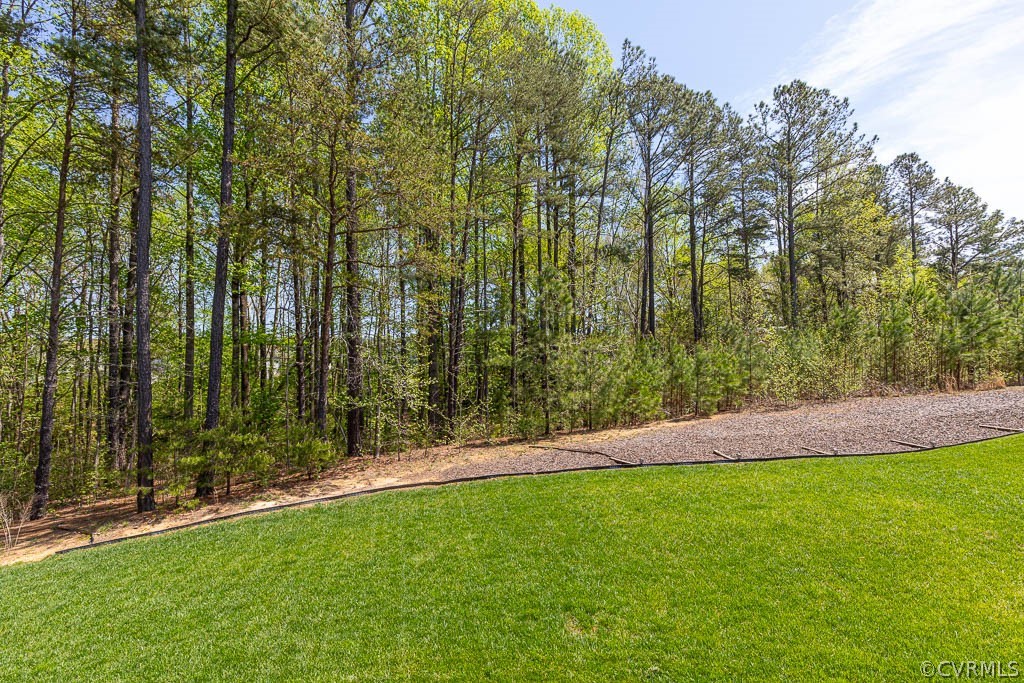 Wooded areas in the rear & on the side of the home provide great privacy