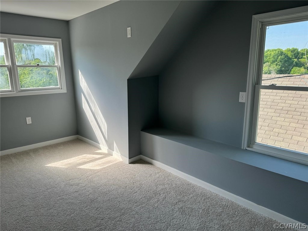 Bonus room featuring a wealth of natural light and carpet