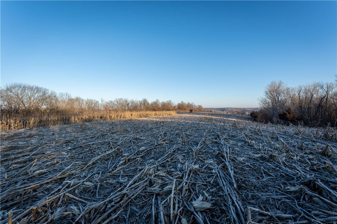 0 160th Avenue, Knoxville, Iowa 50138, ,Land,For Sale,160th,689552