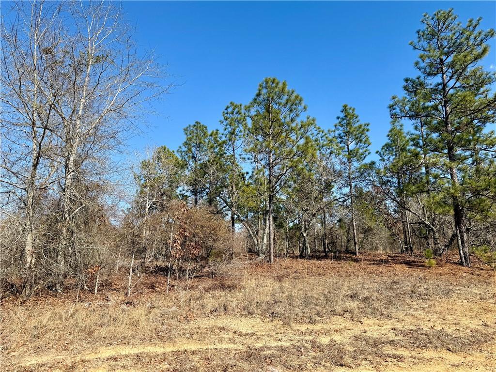 Listing Photo E99871