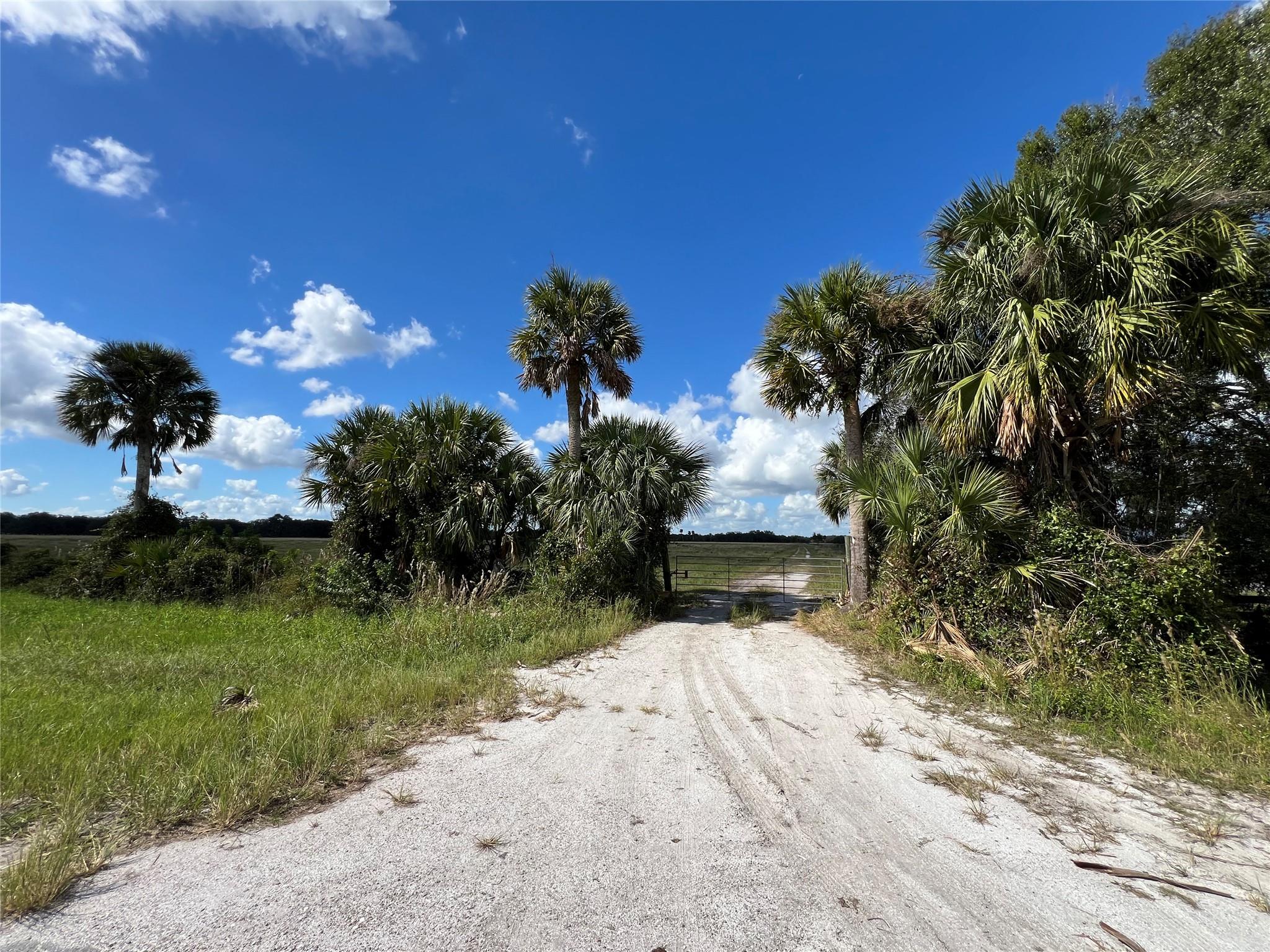 This 312-acre property features open pasture land ideal for haying or grazing, located conveniently just outside of town. Its prime location makes it suitable for subdivision development or for establishing a spacious homestead.