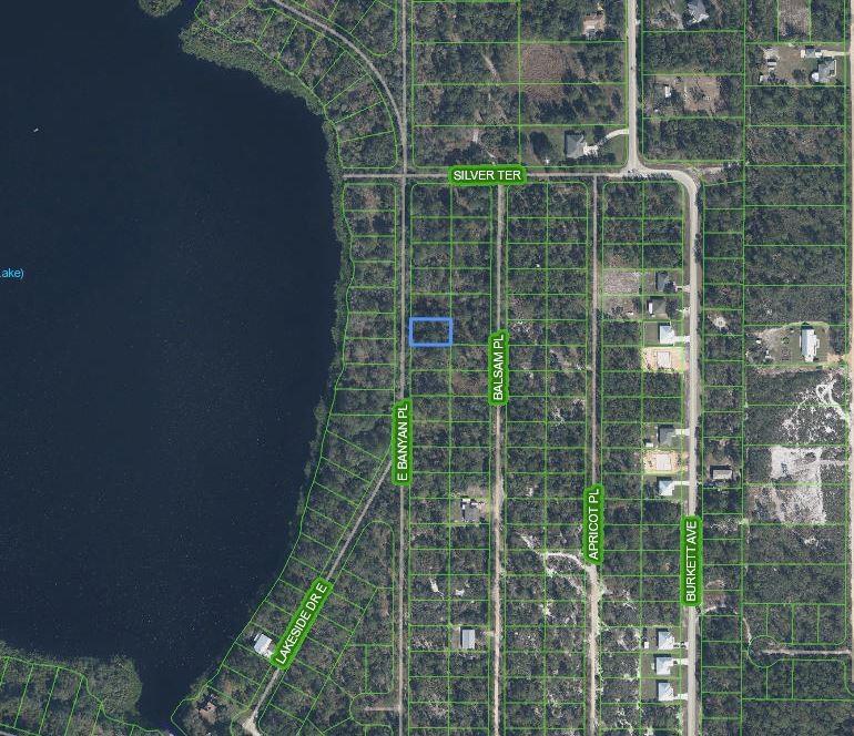 Orange Blossom Estate