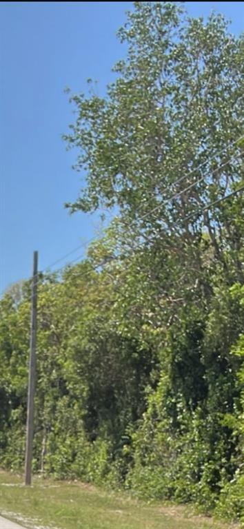 Miami Land & Dev Co Sec 0