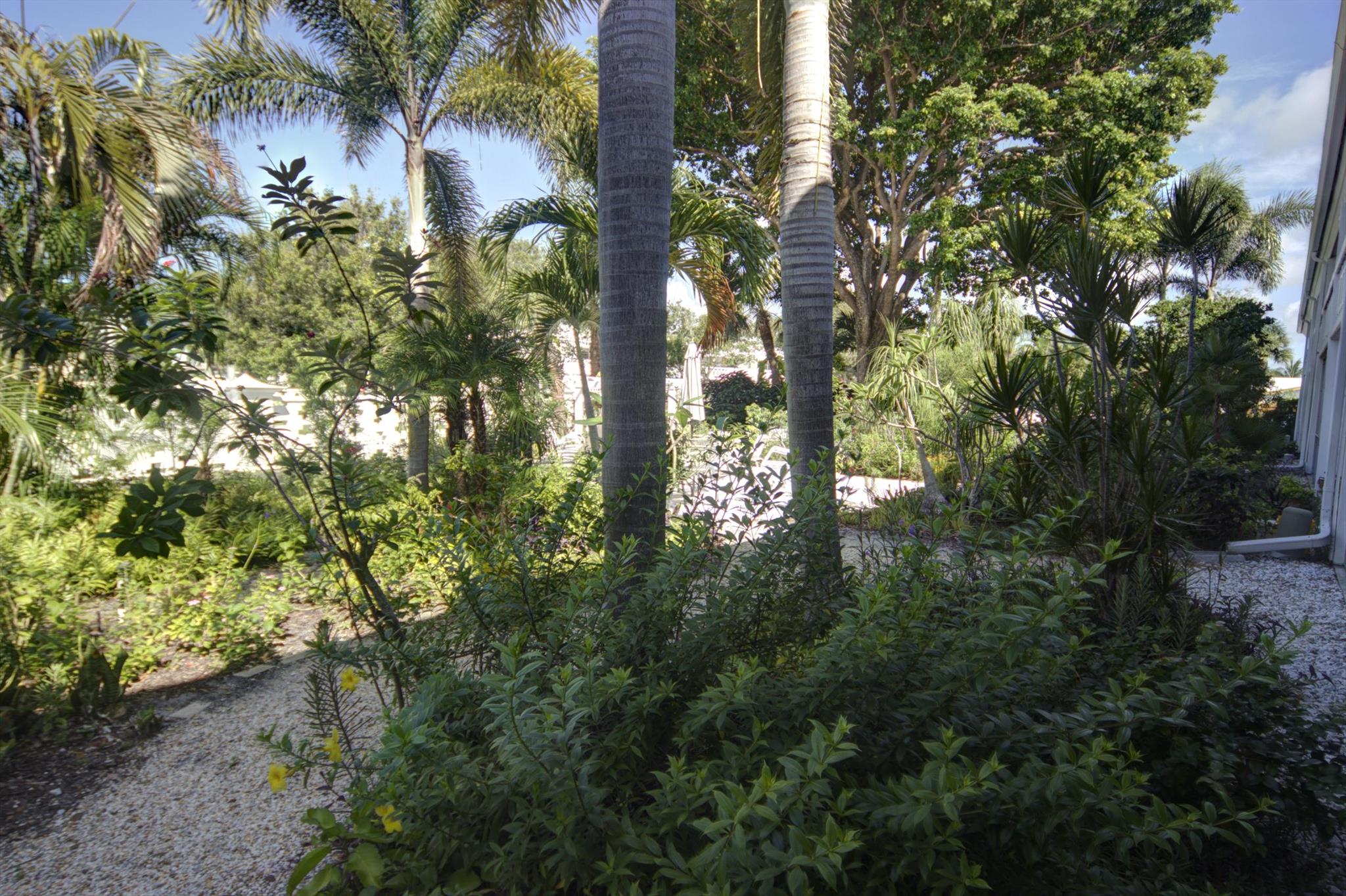 Image to showcase the property located at 91 Willow Road 101