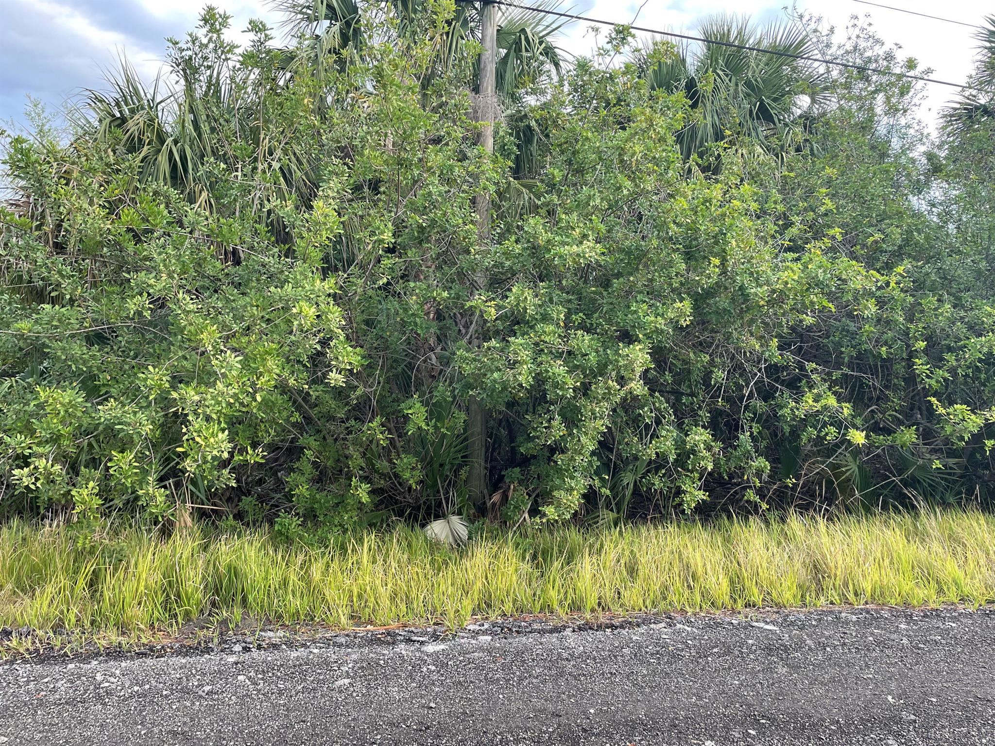 Port Malabar Unit 49